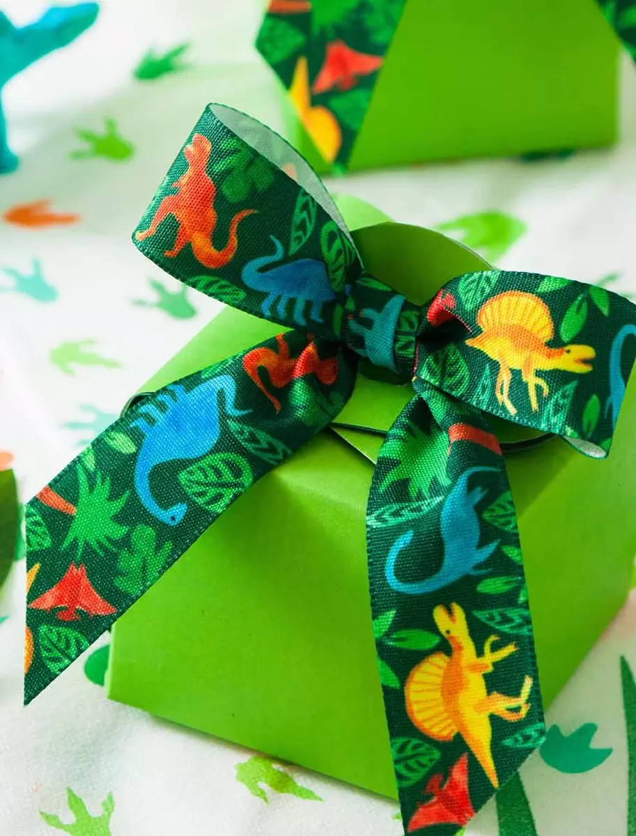 Dinosaur Ribbon On parcel