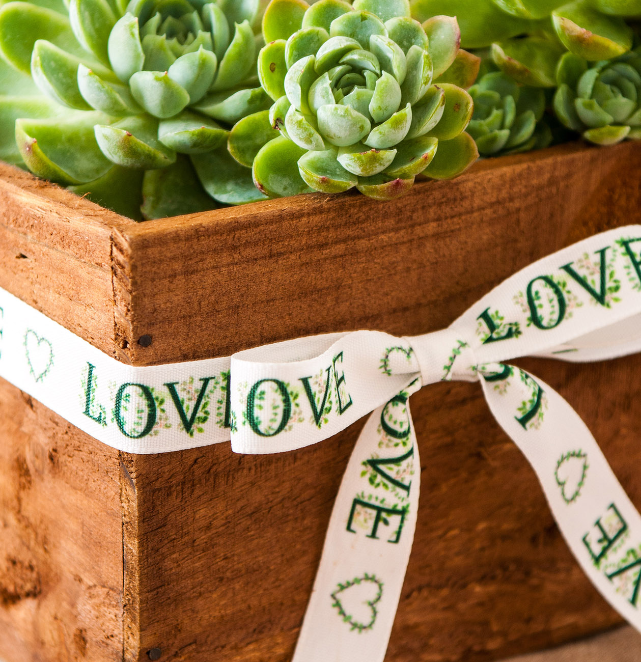 Love Themed Ribbons